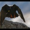 20151107_0222